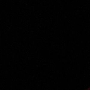 Meet your Posher, Jorge